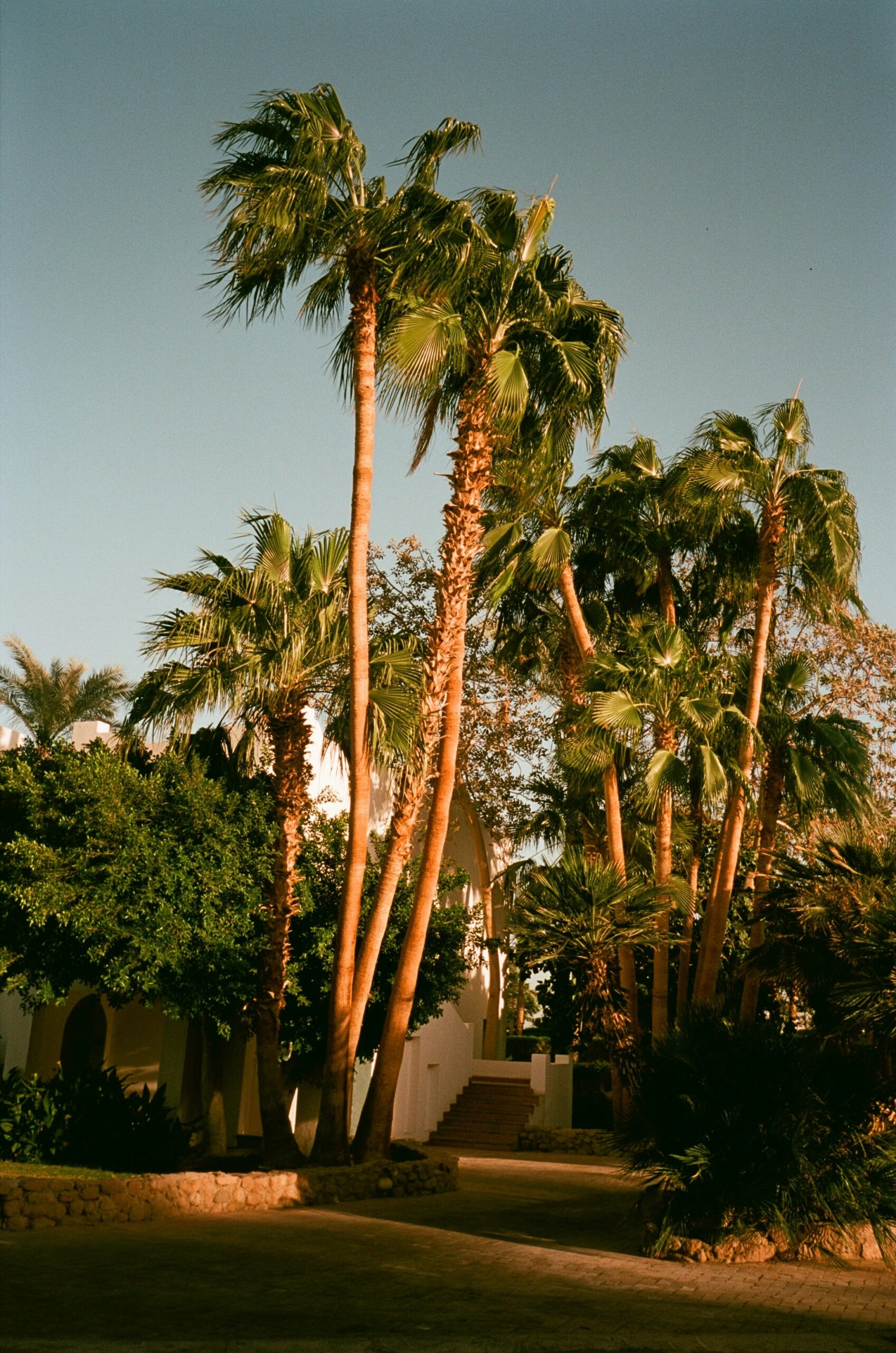 Palm Springs, CA: Fun Events to Do During the Summer of 2025